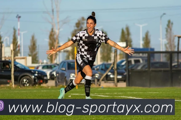 爱游戏平台生态图